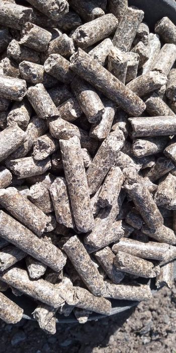 Пропонуємо макух соняшника