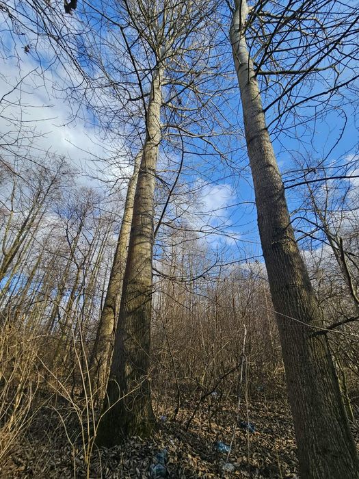 Nieruchomość rolna 1,88Ha
