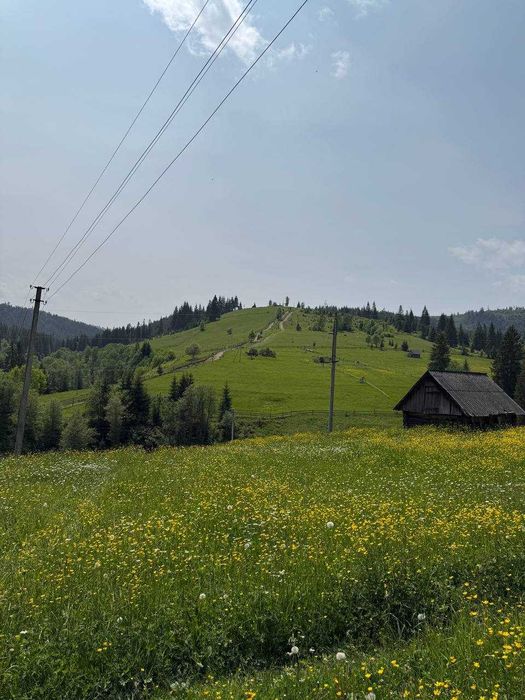 Топова пропозиція землі с.Поляниця (Буковель)