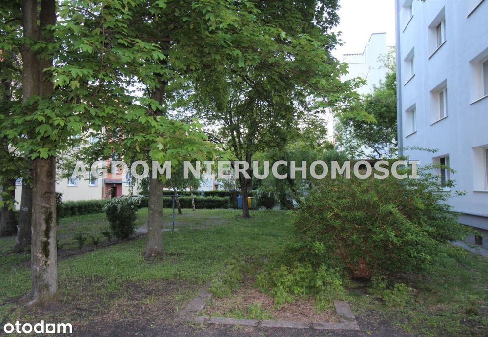 36m kw przy Parku Łokietka