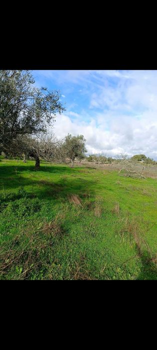 Vende-se terreno rústico