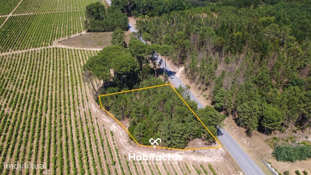 Terreno Agrícola à Venda em Nelas