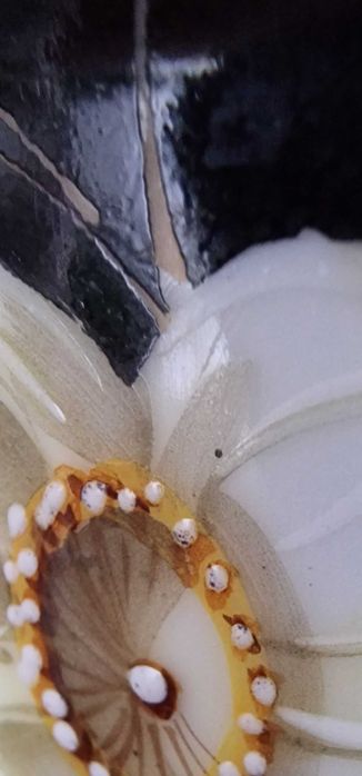 Porcelanowa donica/wazonka