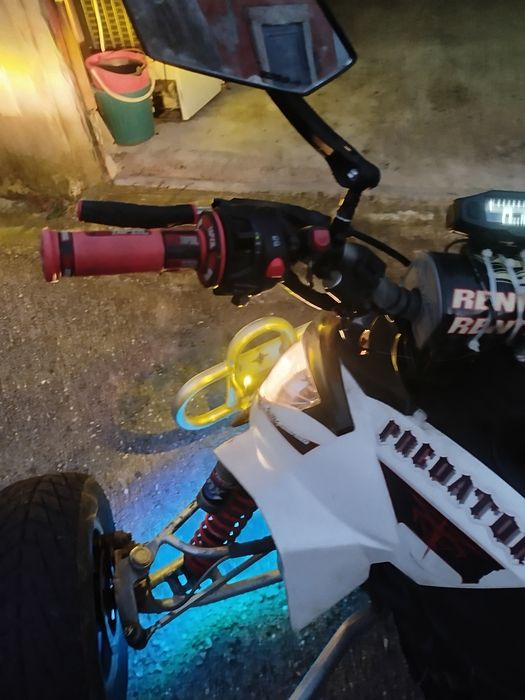 Polaris predator 500