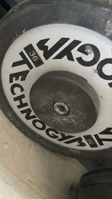 Halteres Techogym