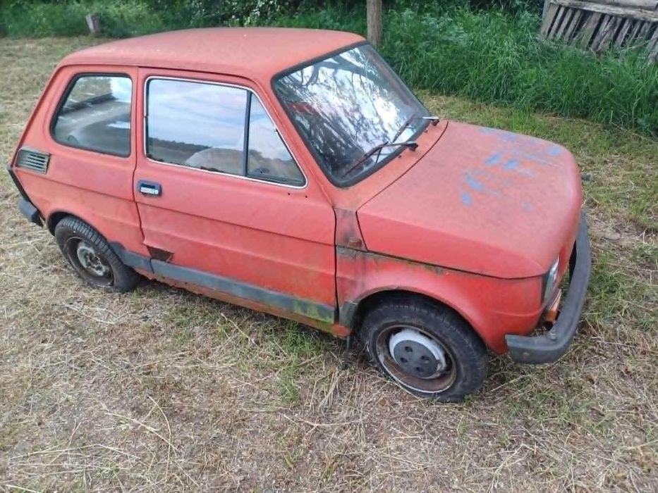 maluch 126p maluch