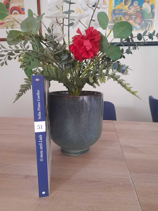 LIVRO - O Meu Avô Luís (novo)