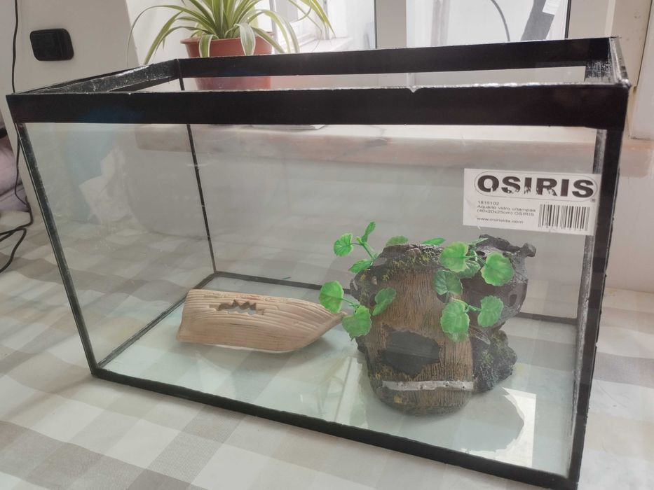 Aquário osiris para desocupar