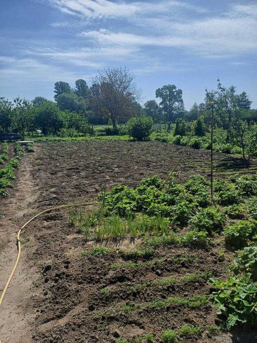 Терміново продам будинок в Богодухові