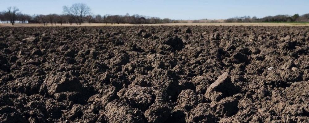 Віддам в користування три земельні ділянки по 20-30 соток с. Колом'є