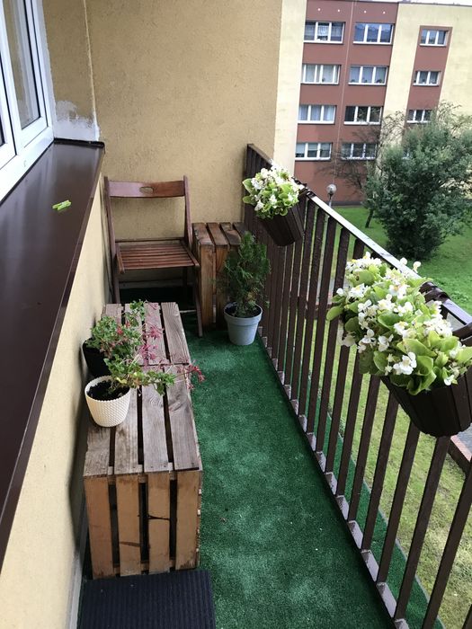 Pokój do wynajęcia Katowice Brynów