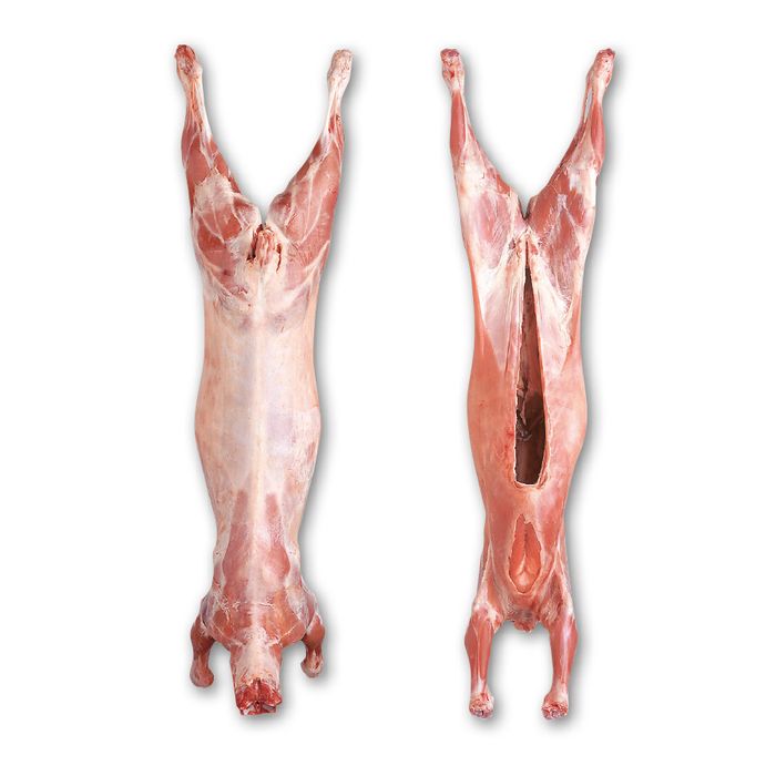 Мясо молодого ягня порода  Дорпер