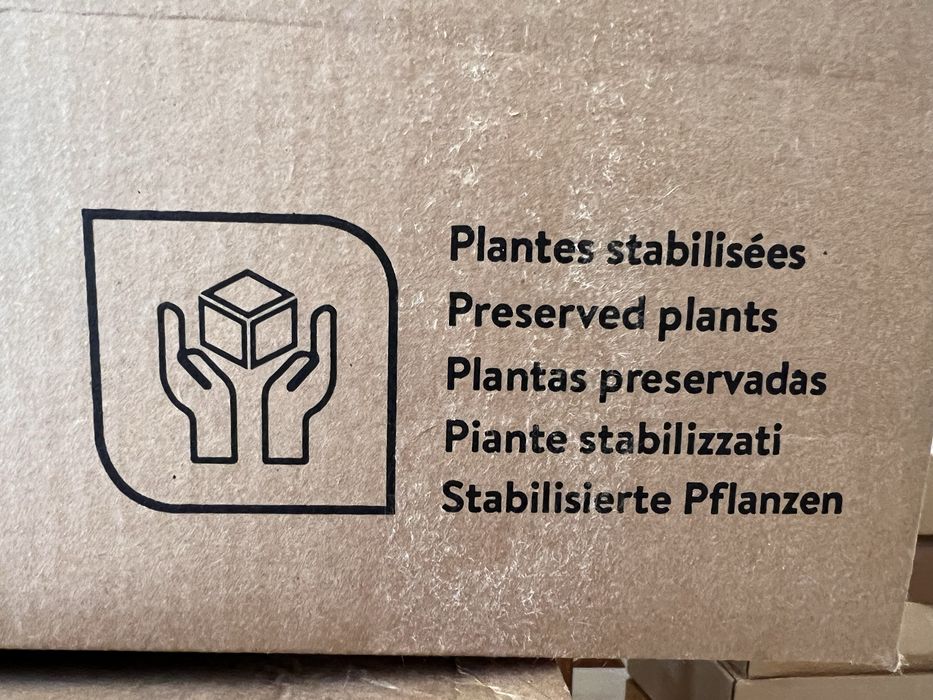 Caixa musgo preservado Fuchsia - 1kg