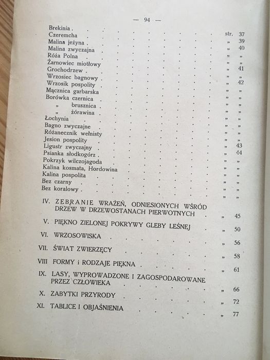 Estetyka lasu Karol Stieber 1929 leśnictwo