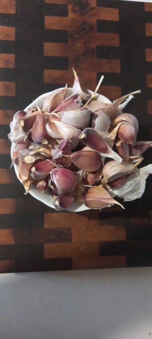 Продам часник і зубок