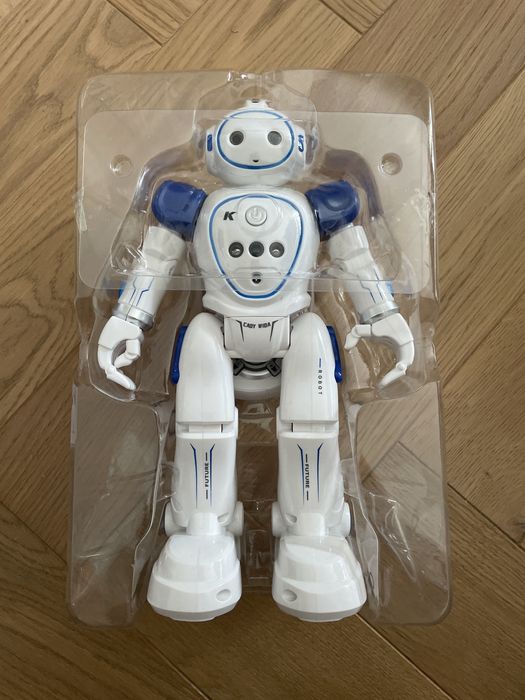 Cady Wida - interaktywny robot