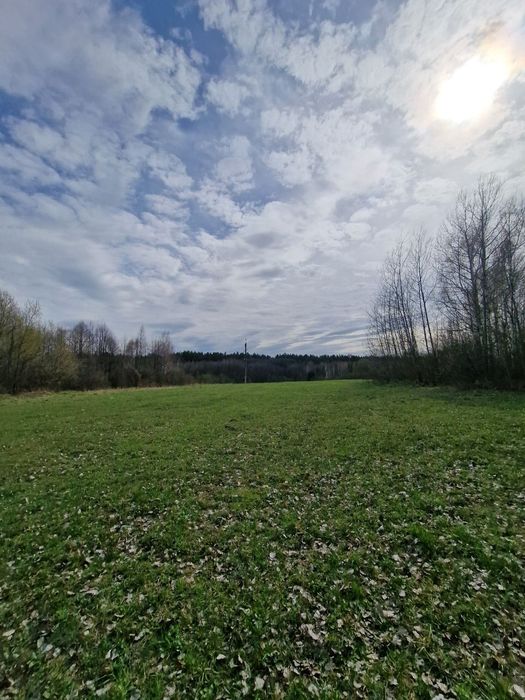 Продам пай терміново