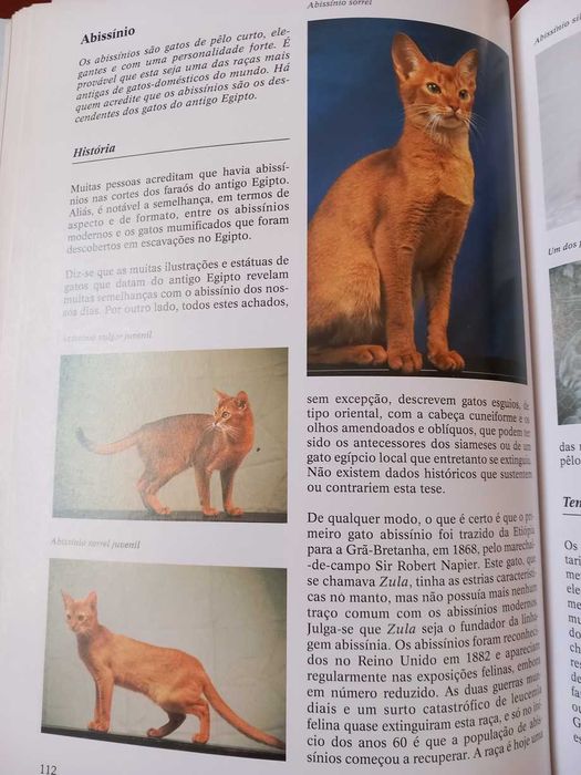 Enciclopédia dos Gatos (portes incluídos)