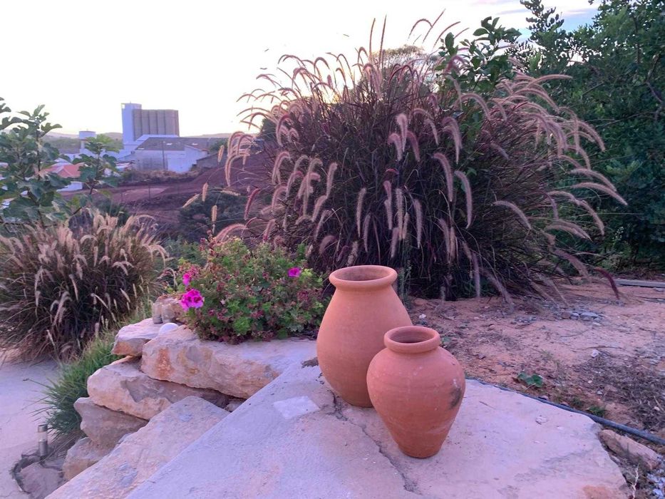 Serviços de Jardinagem e Manutenção