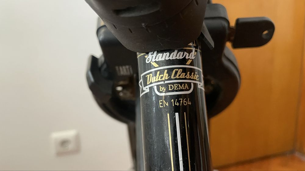 Bicicleta holandesa