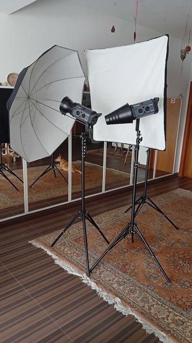 Bowens Esprit Gemini 500 Kit