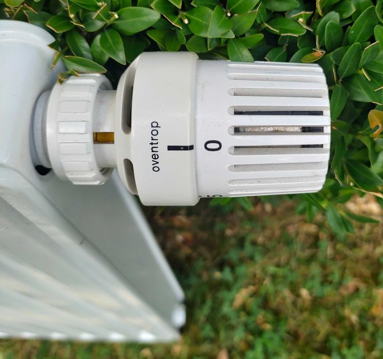 Kaloryfer pojedynczy 50cm Nowy z termostatem