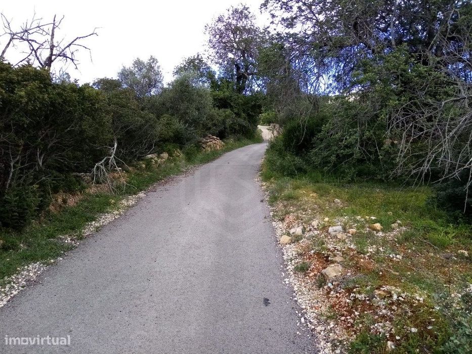 Terreno Rustico com 1394 m2, Loulé, Algarve