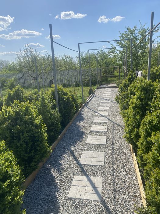 Продаж будинку с.Миколаївка