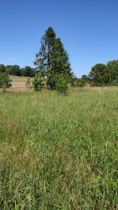 Koleczkowo koło Gdyni działkę budowlaną 1443 m² sprzedam - Widok 2