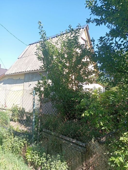 Продам дачний будинок масив Дружба