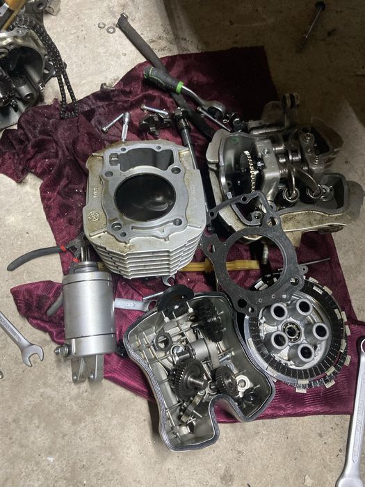 Запчастини двигуна kovi advance 250