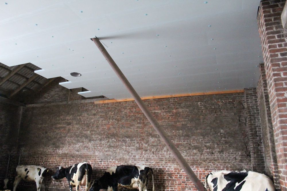 Płyta Rolnicza Styrodur XPS AGRO Ocieplenie Obory Kurnika Tuczarni