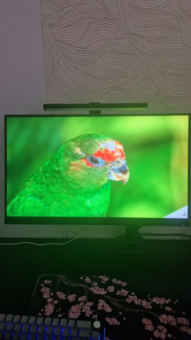 Monitor Omen 25I