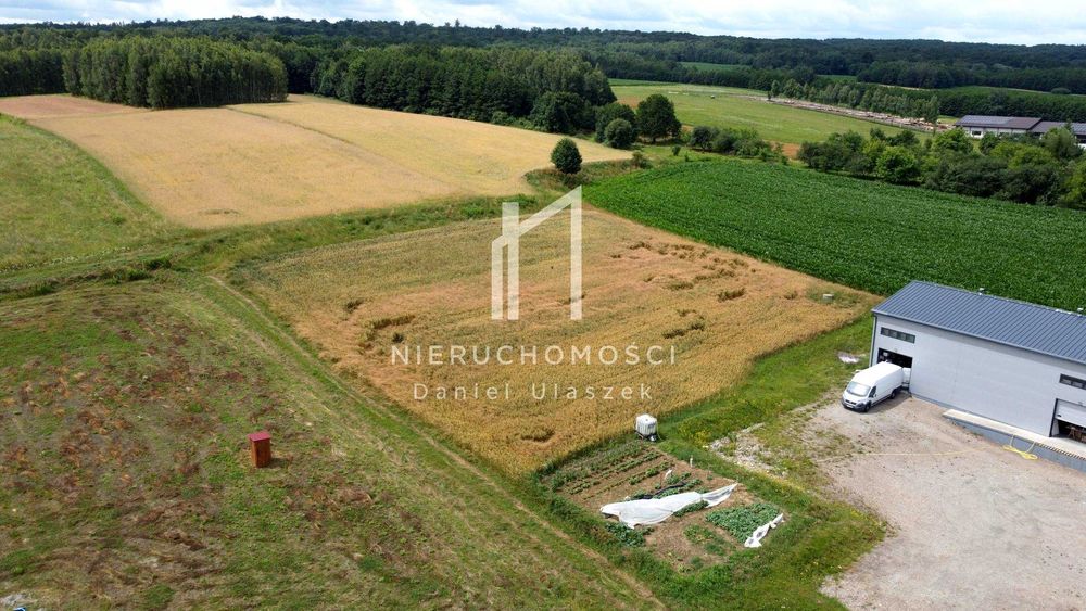 Działka budowlana z projektem domu, Umieszcz, Gm. Tarnowiec, 27ar - Widok 4