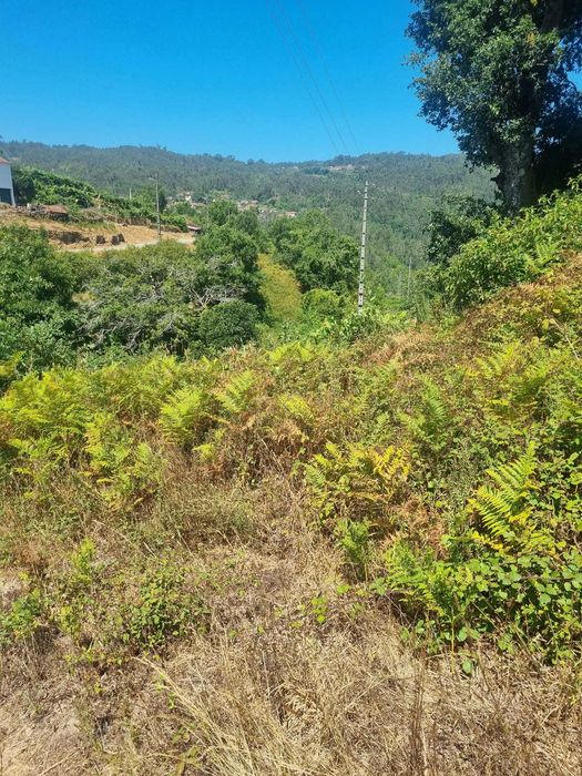 Quintinha em Aldeia Bispeira, Viseu