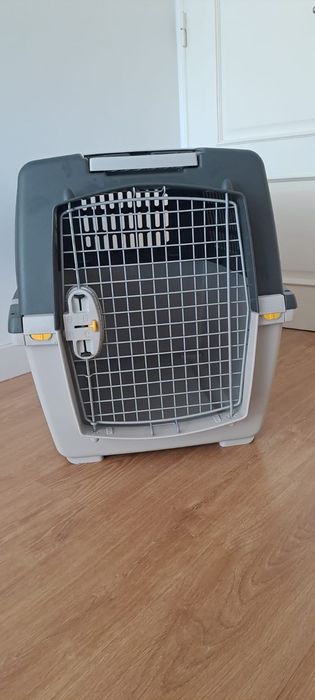 Acessórios para cães