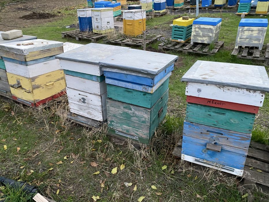 Продаю вулики 10 рамкові