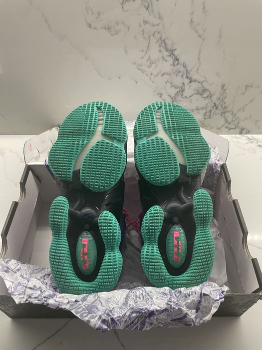 Nike Lebron 19 Purple