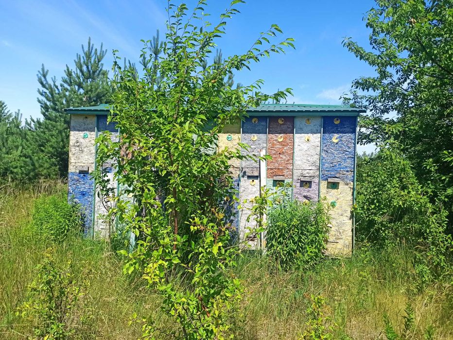 Продам бджолопавільйон