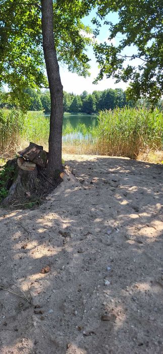 Sprzedam działke nad jeziorem