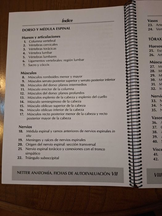 Netter Anatomía 2a Edición