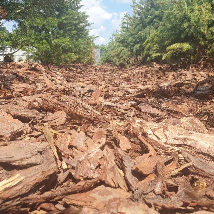 PRODUCENT.Kora sosnowa 80 L , Darmowa dostawa