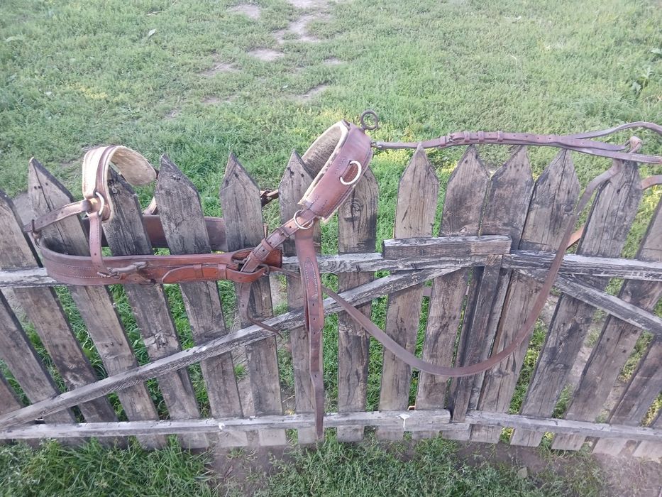 sprzedam  uprząż