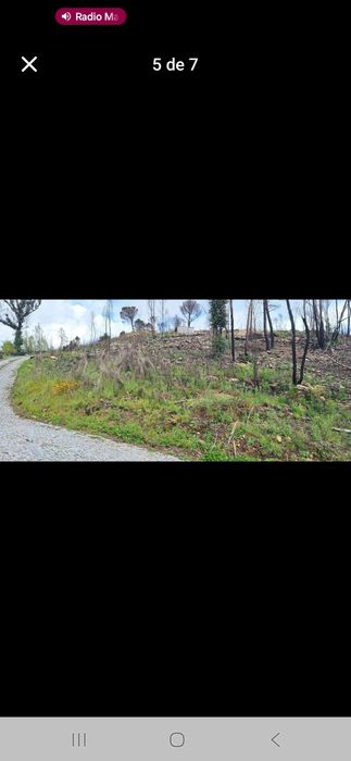 Bouça em Balde sta Leocádia-Baião