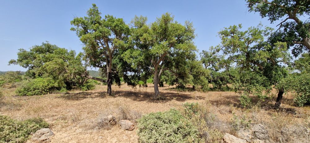 Terreno com água e luz com 8ha