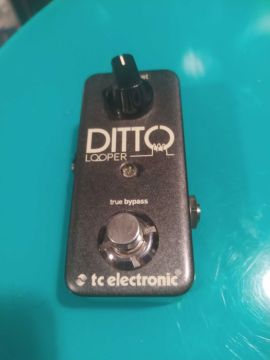 Ditto looper TC electronic efekt gitarowy