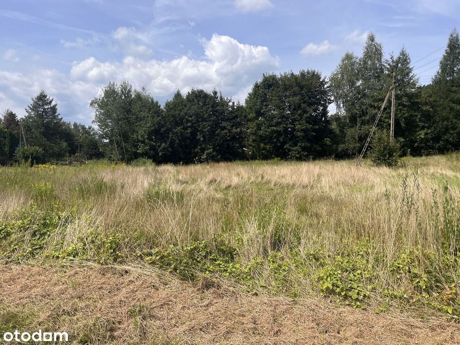 Radziszów, Podlesie | działka 817 m² | wjazd prosto z asfaltu - Widok 3