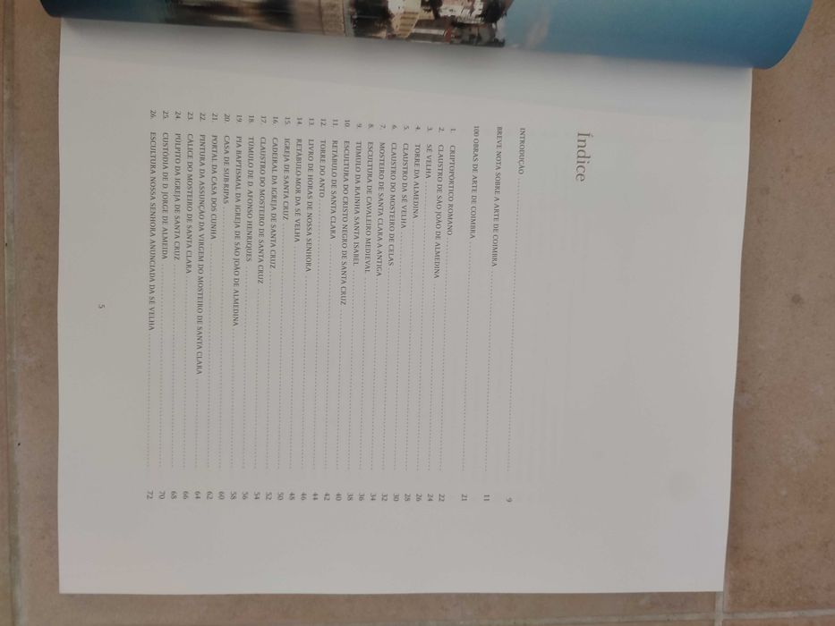 100 Obras de Arte de Coimbra - Pedro Dias