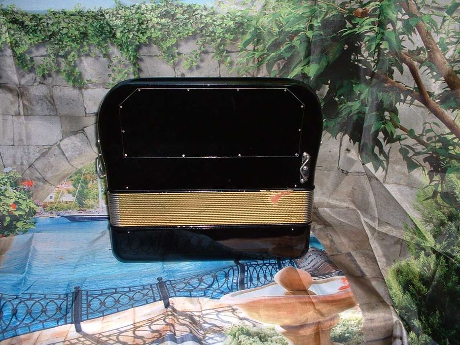 Concertina a venda n.693