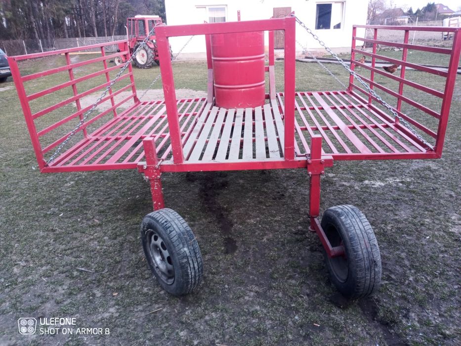 Scelarka do truskawek